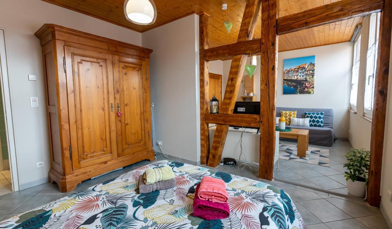 Le Schwendala - Quartier Petite Venise Apartment Колмар Екстериор снимка