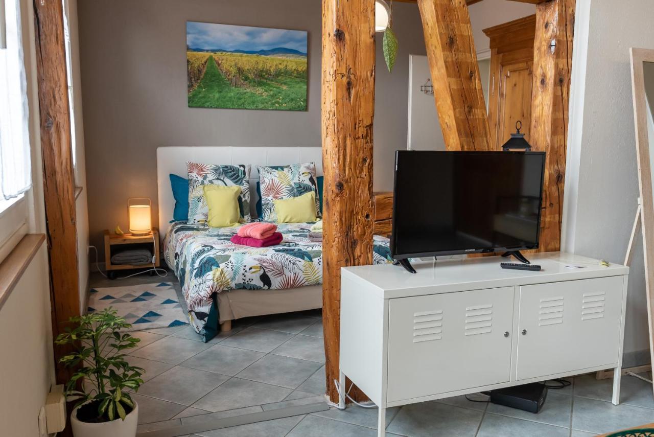 Le Schwendala - Quartier Petite Venise Apartment Колмар Екстериор снимка